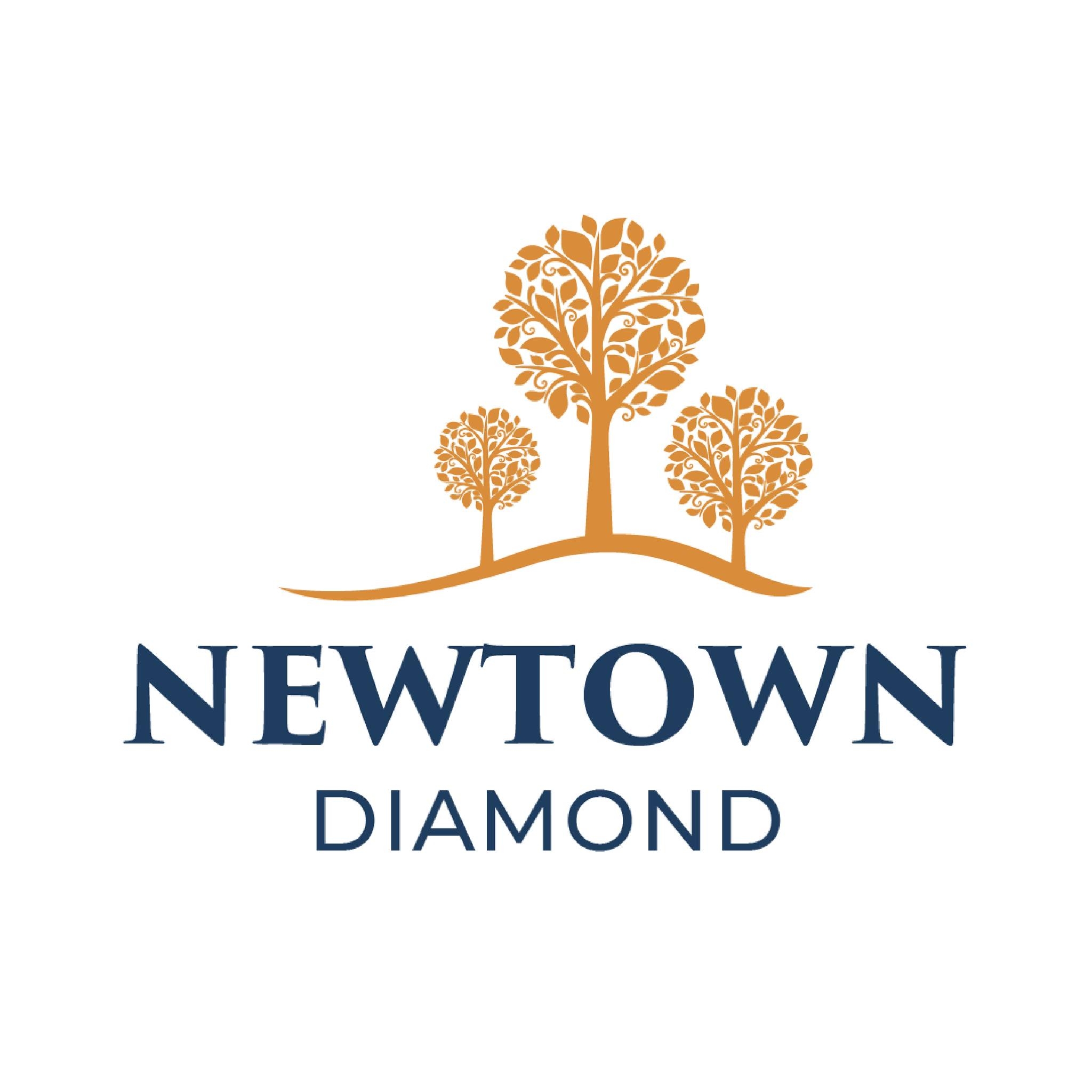 Newtown Diamond Đà Nẵng