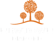 Newtown Diamond Đà Nẵng